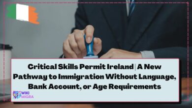 Critical Skills Permit Ireland