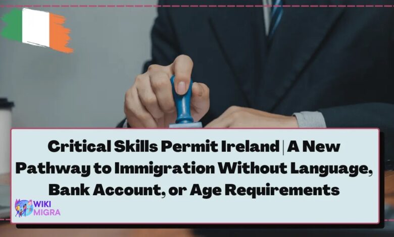 Critical Skills Permit Ireland