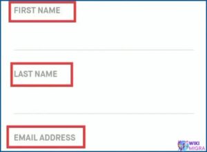 how to Step International Recruitment Exchange Services (IRES) visa photo3