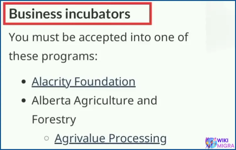 Startup Visa Program Business Incubator